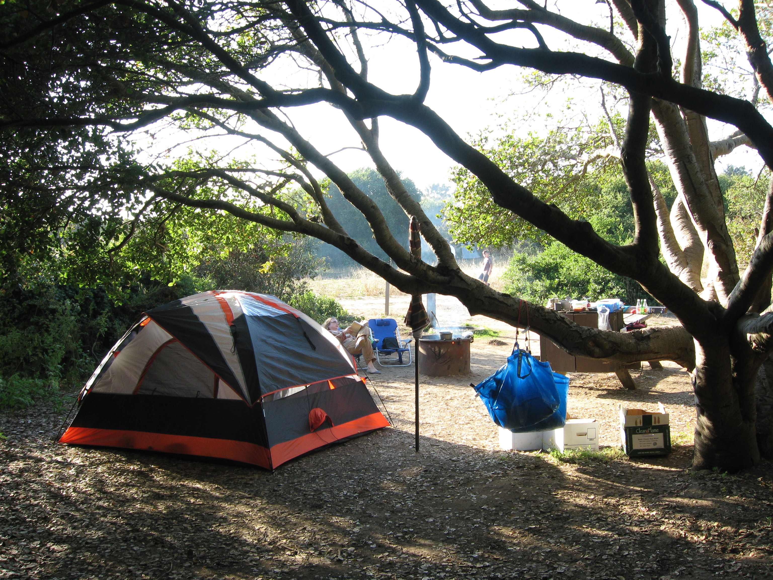Lupine Camps