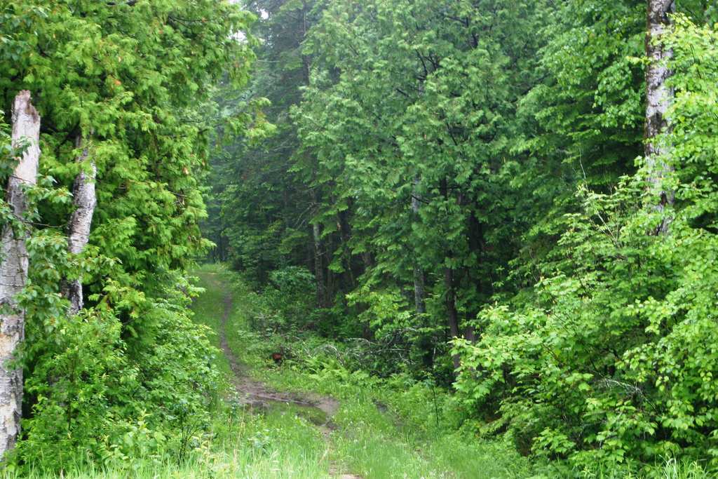 Faunce Campground