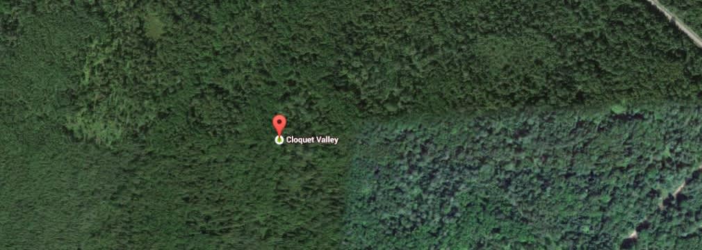 Cloquet Valley State Forest
