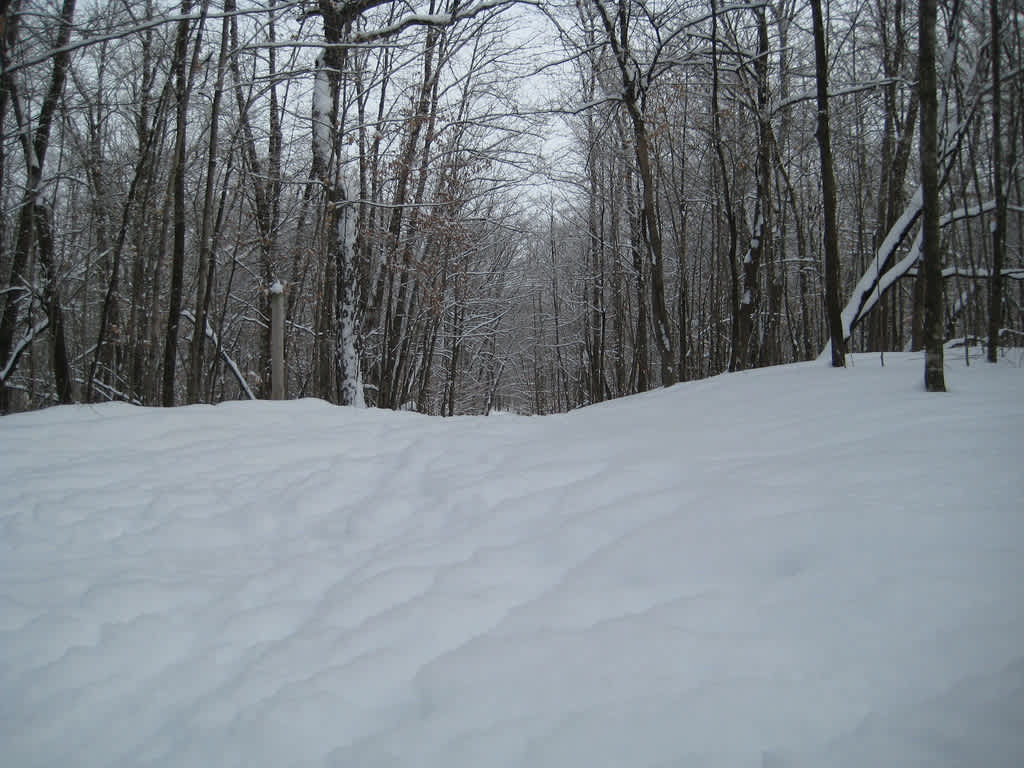 Lower Campground