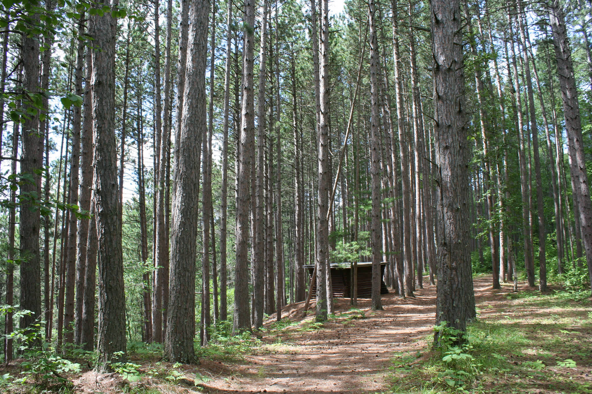 McCarthy Beach State Park