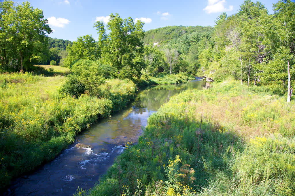 Cedar Hill and Goosberry Glen