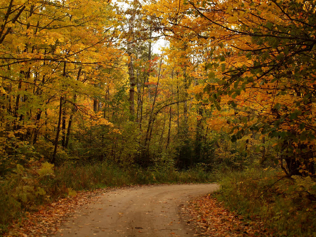 Norway Beach Loop Campground