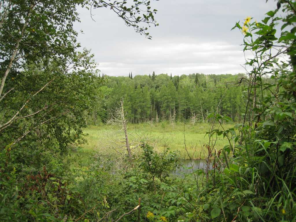 Webster Lake Campground