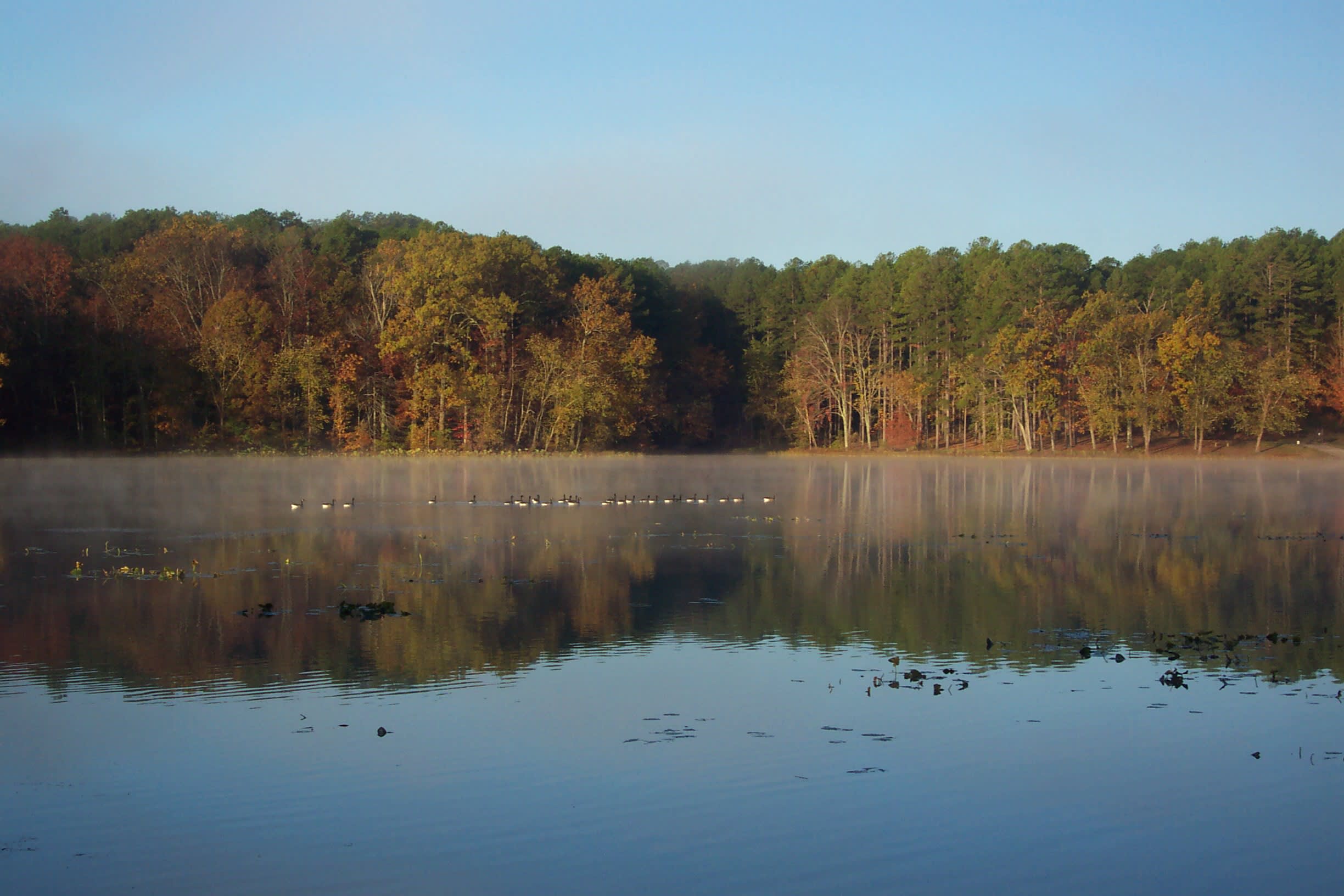 Dixon Springs Campground