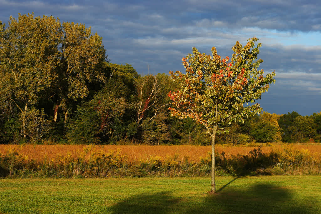 Prairie Lake Campground