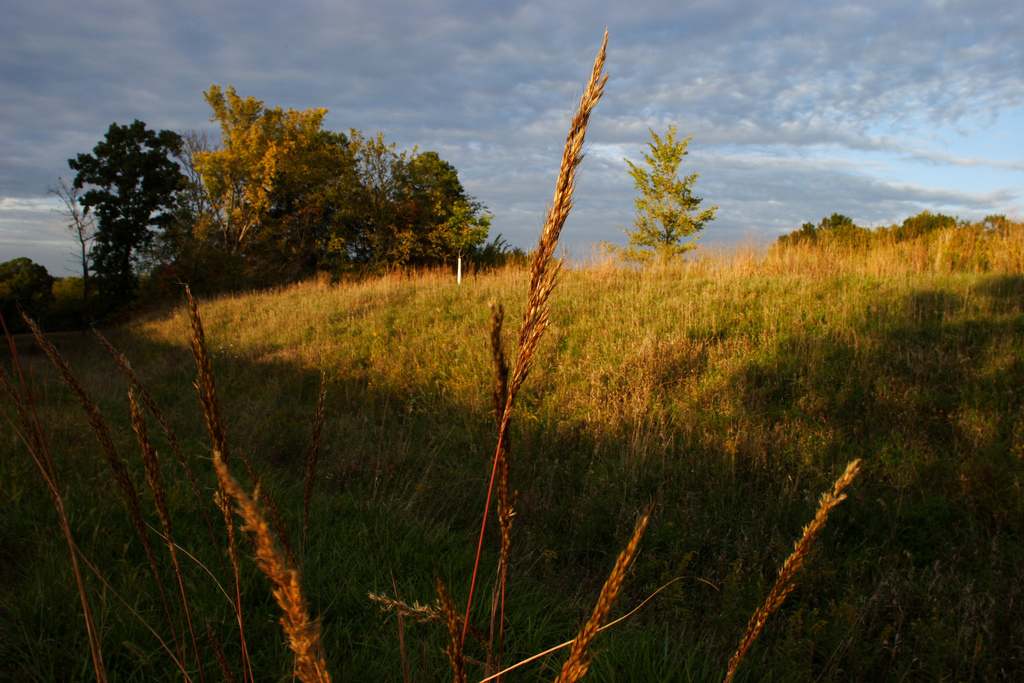 Questing Hills Campground