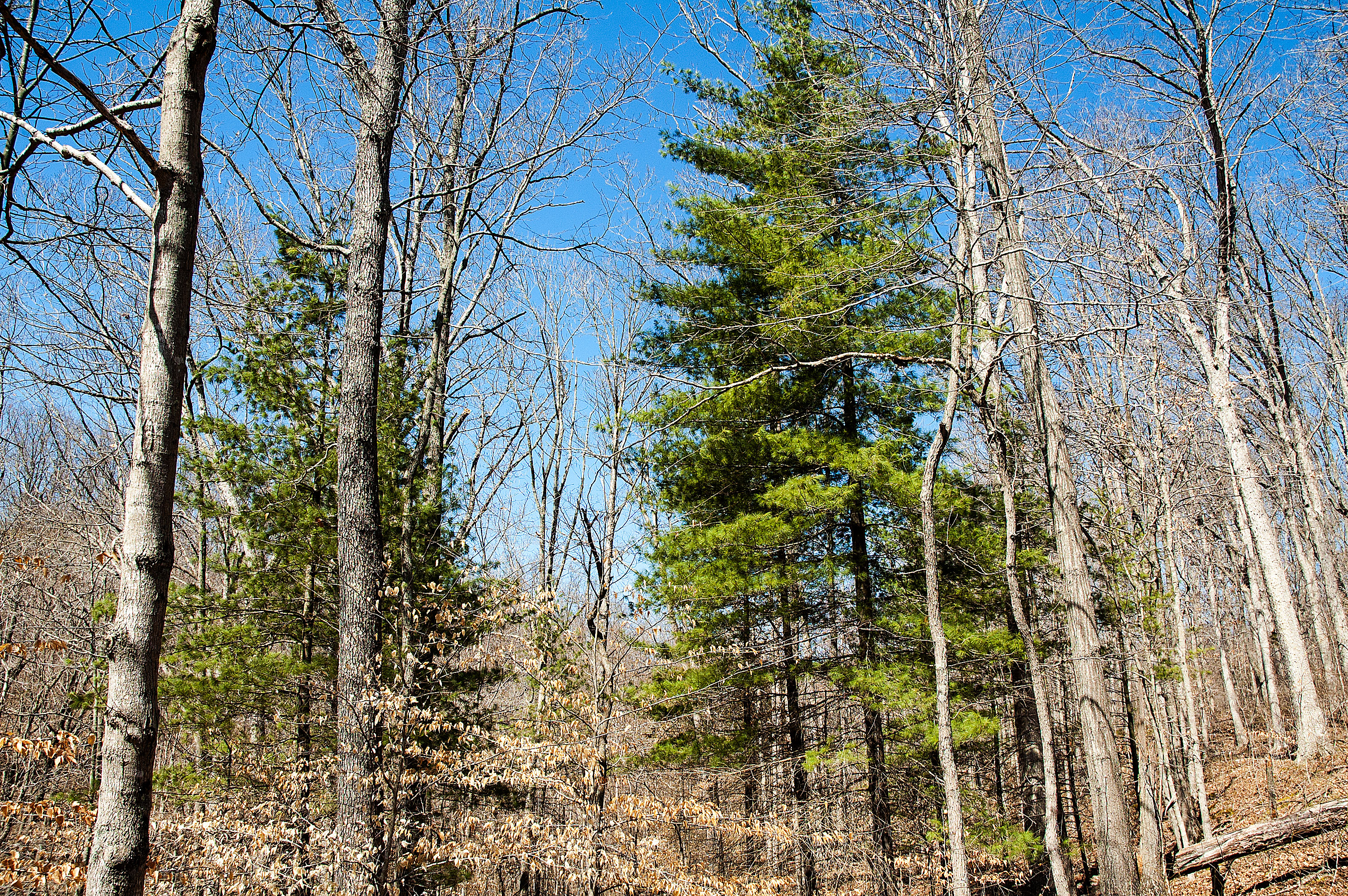 Little Salt Creek Group Site