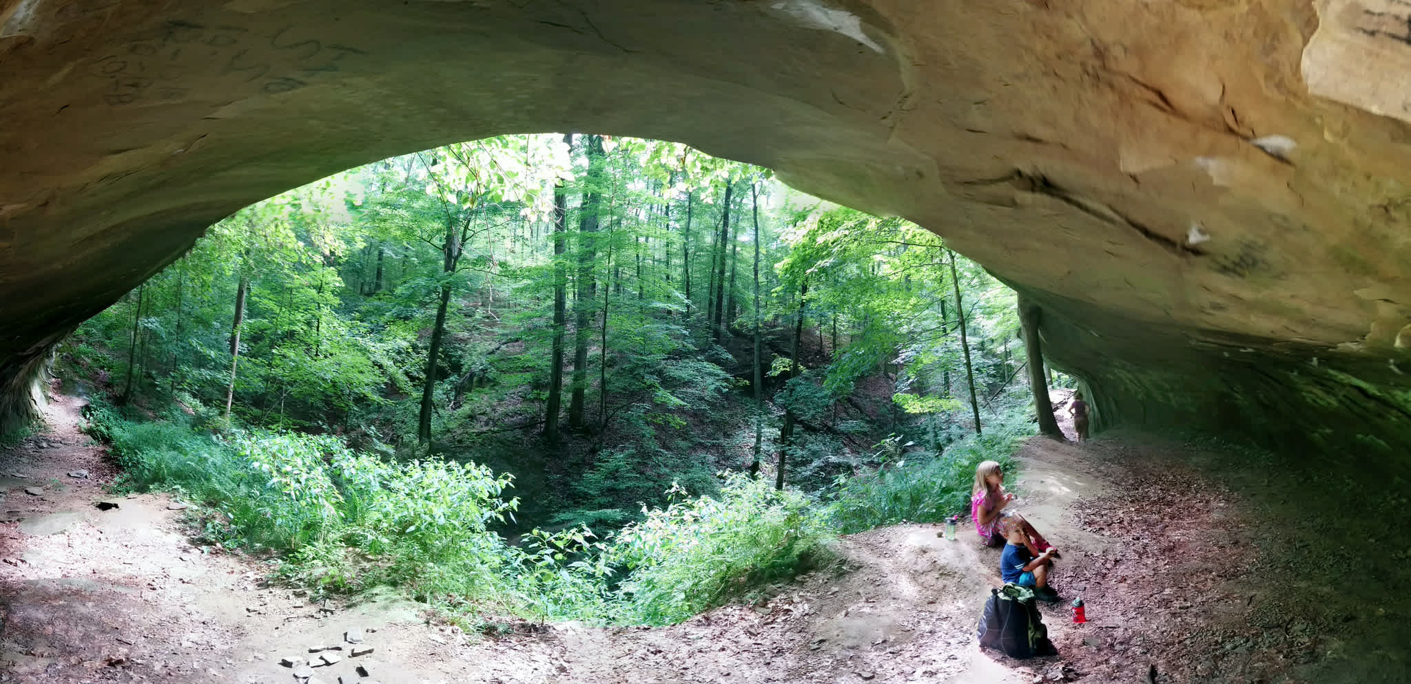 Morgan Monroe State Forest