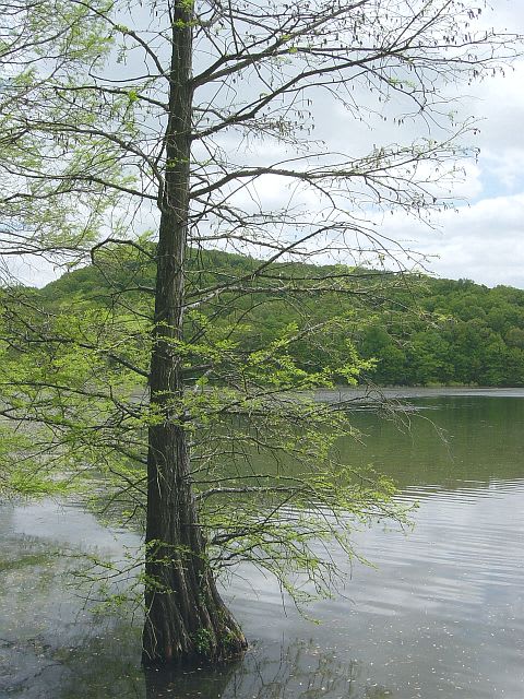 Starve Hollow State Recreation Area
