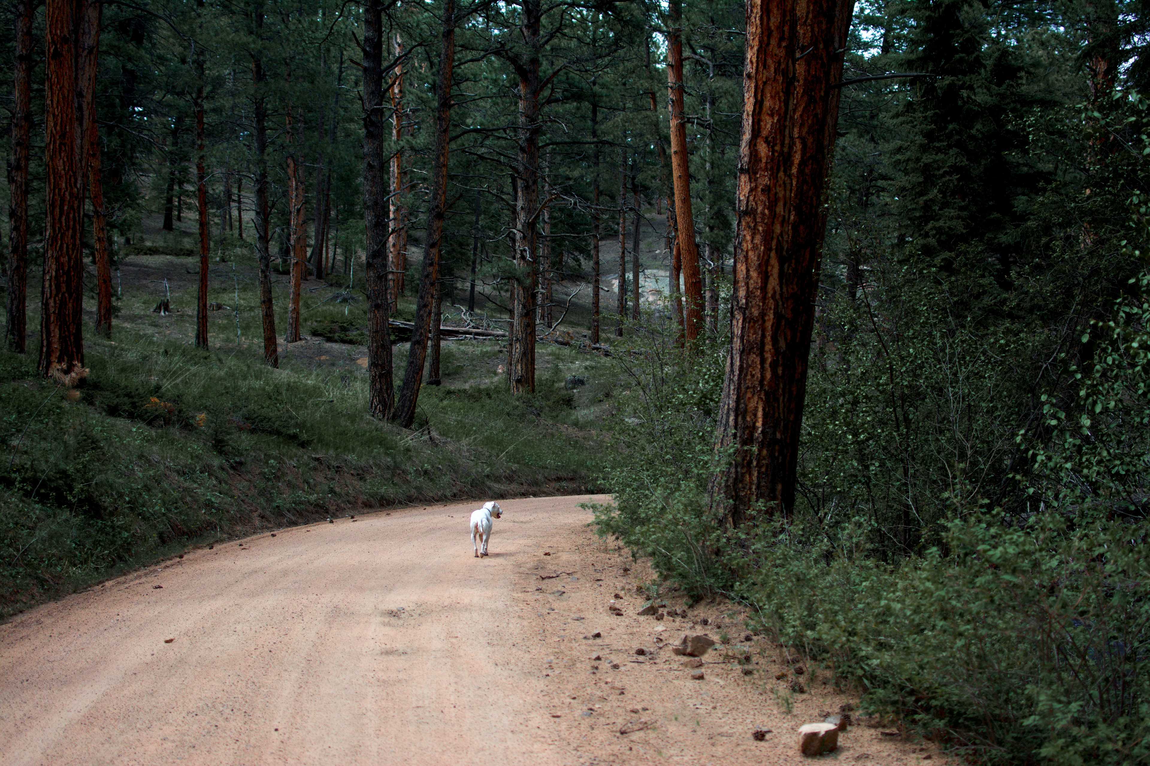 Meadows Group Campground
