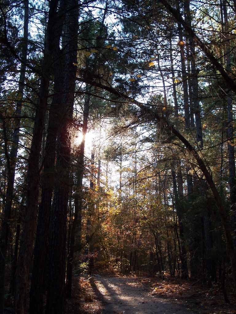 Baker Creek Campground