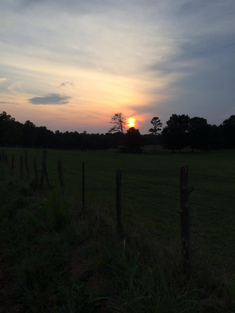Lick Fork Lake Recreation Area