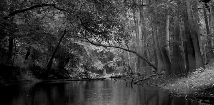 Bluff Campground