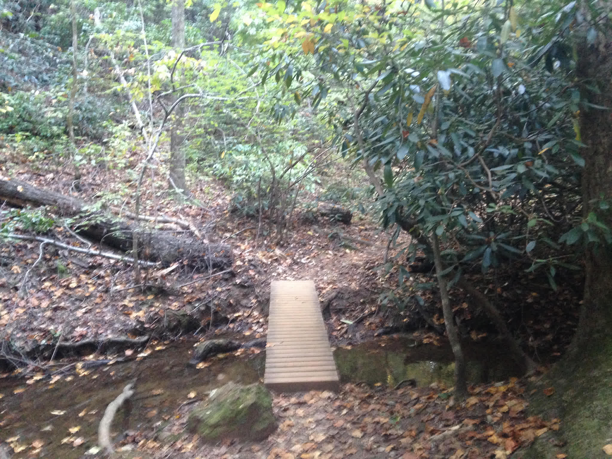 Paris Mountain Campground