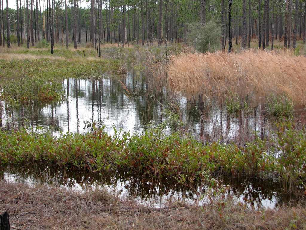 Oyster Point Campground