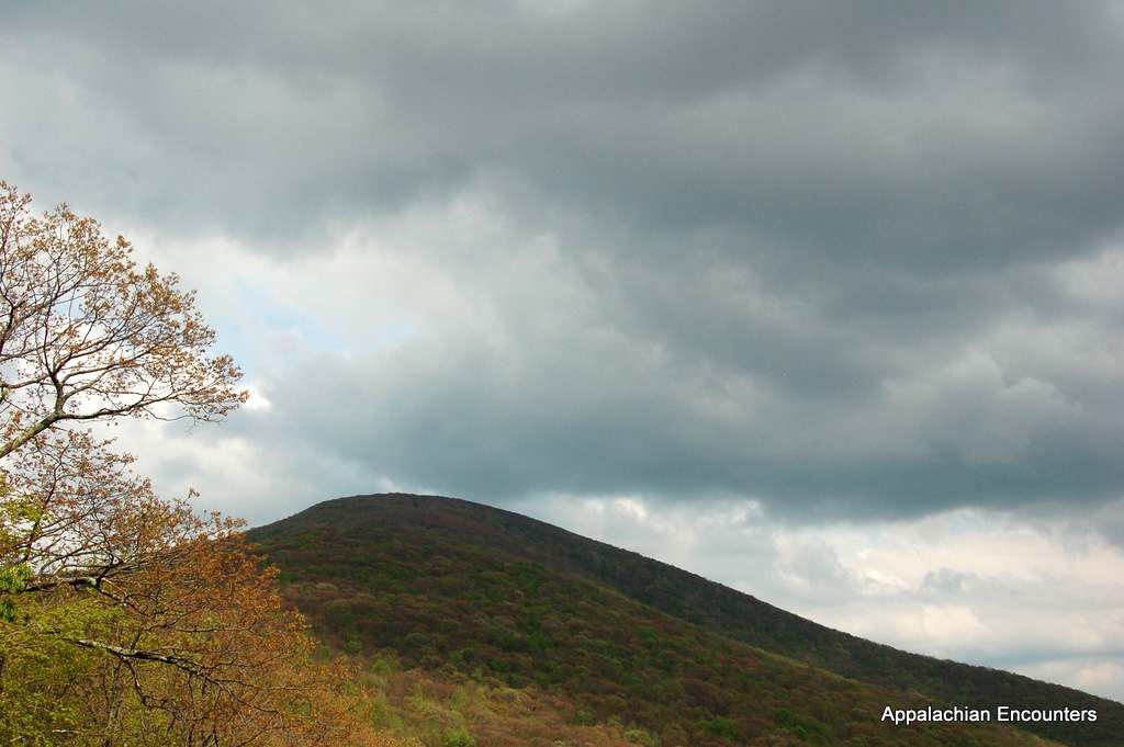 Elk Knob Campground