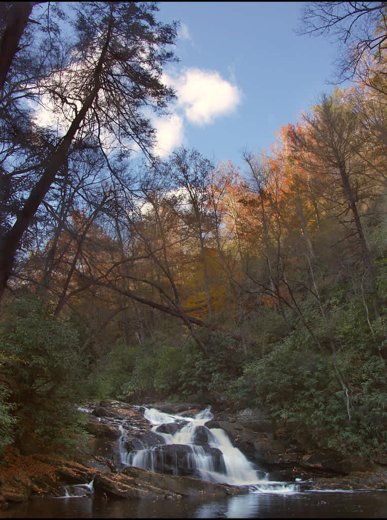 Cove Creek Lower Group Campground