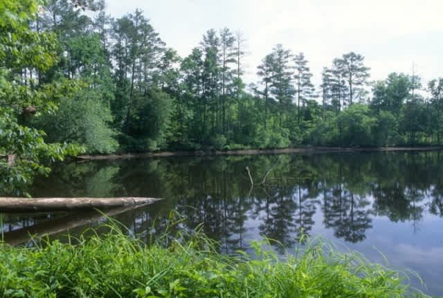 Badin Lake Group Campground