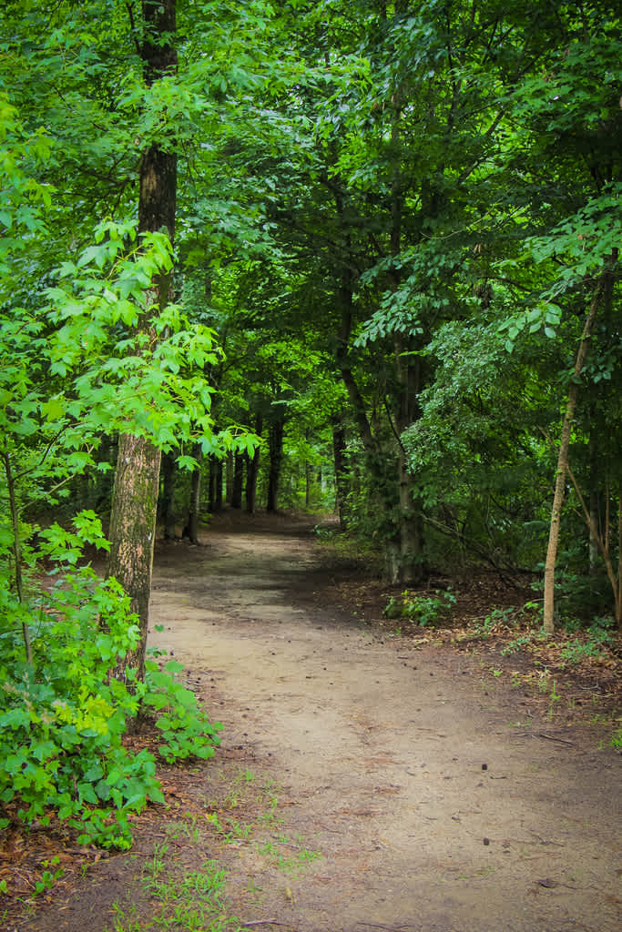 Cliffs of the Neuse Campground