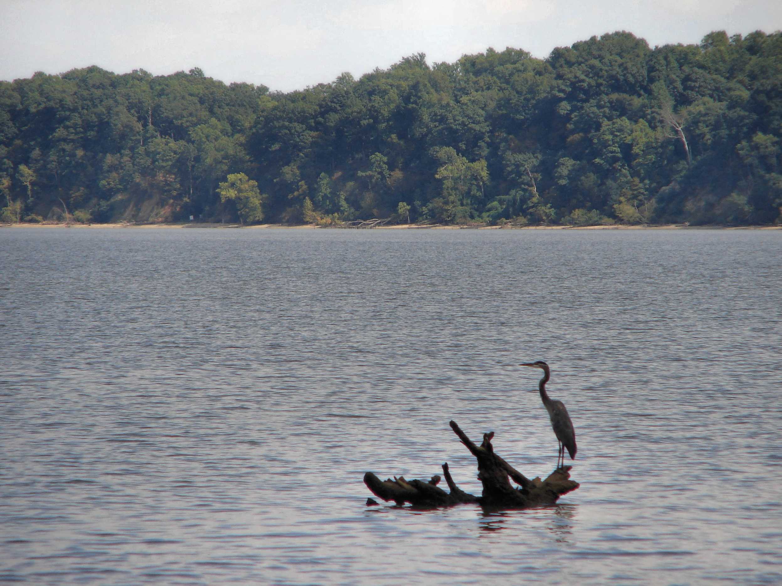Chippokes Plantation Campground