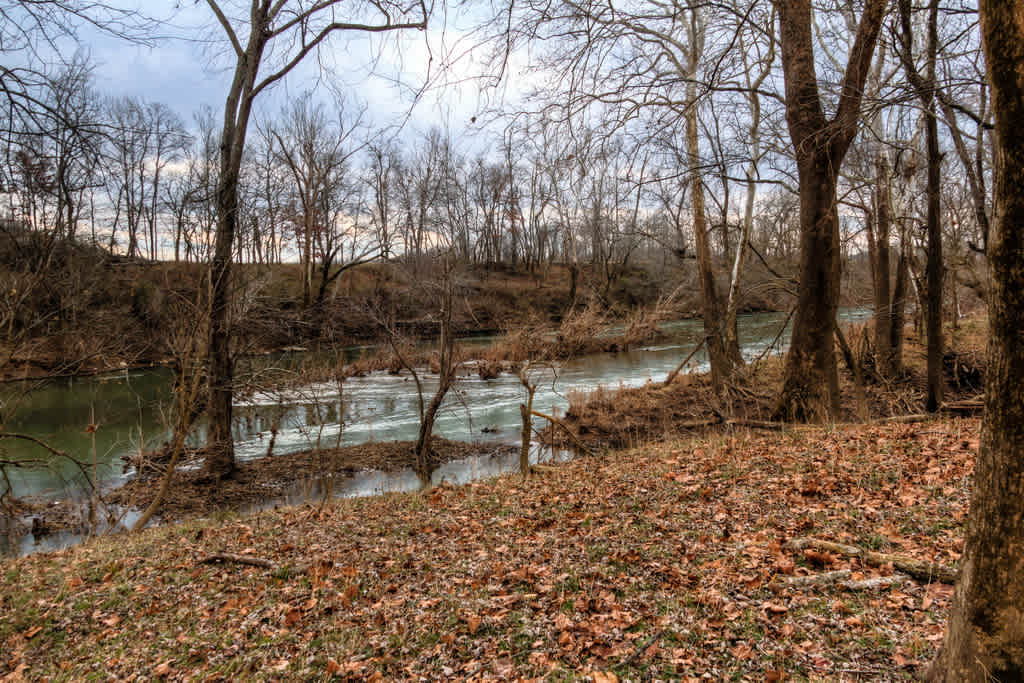 Cedars of Lebanon Campground