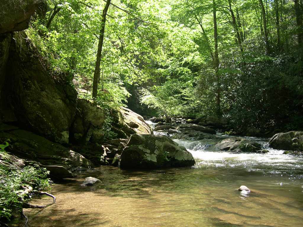 Cherokee National Forest