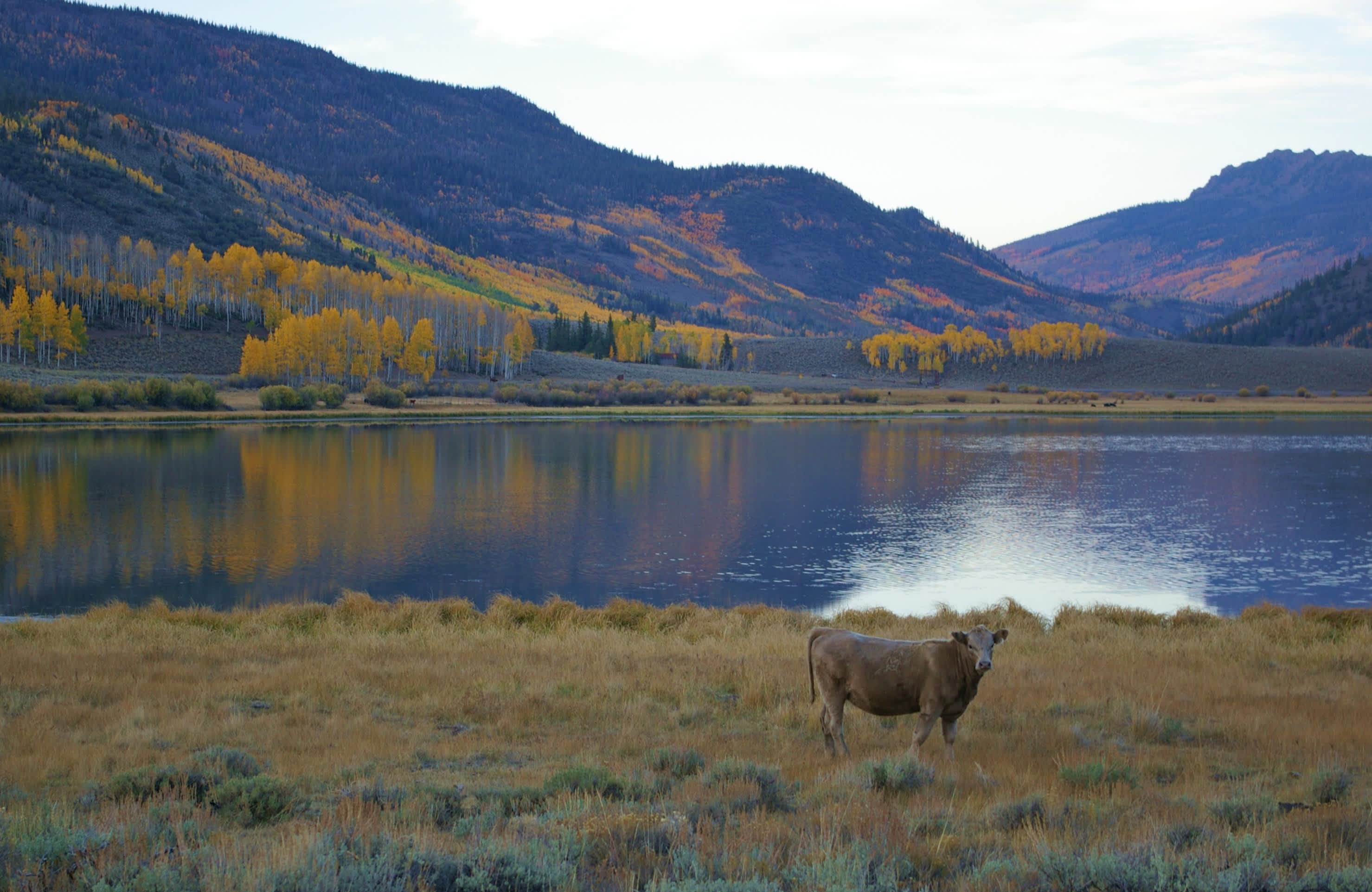 Little Reservoir Campground