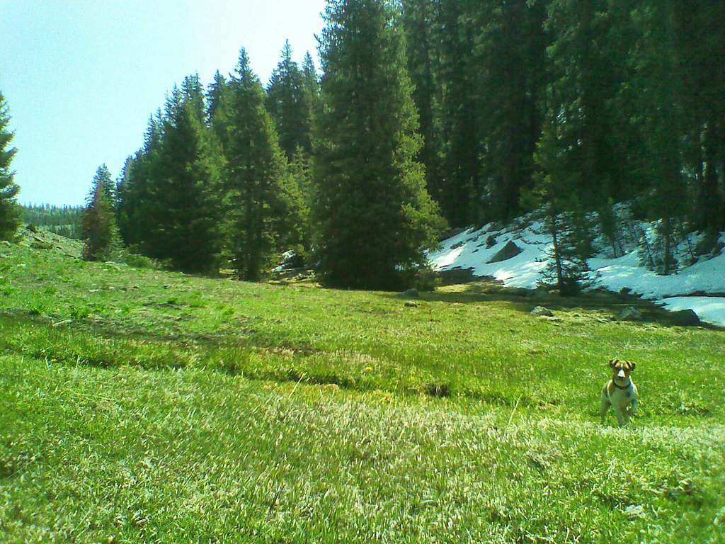 Kents Lake Campground