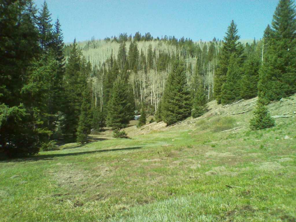 Maple Hollow Rec Site Campground
