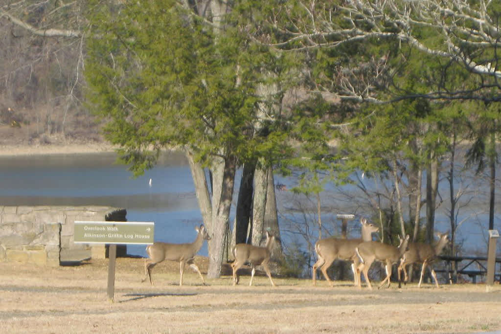 Holmes Bend Campground