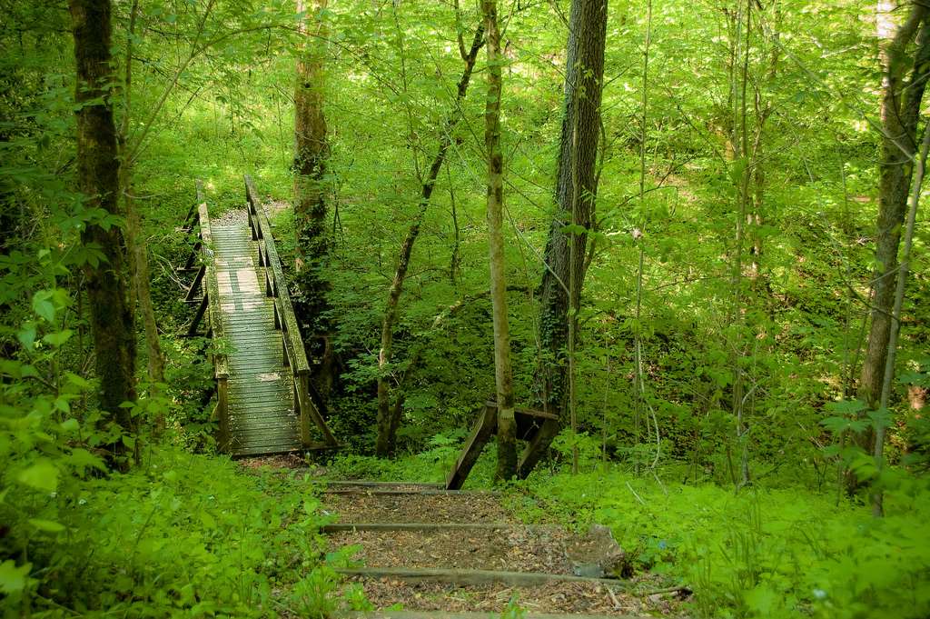 Fort Boonesborough Campground