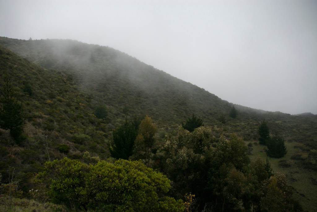 Polipoli Campground