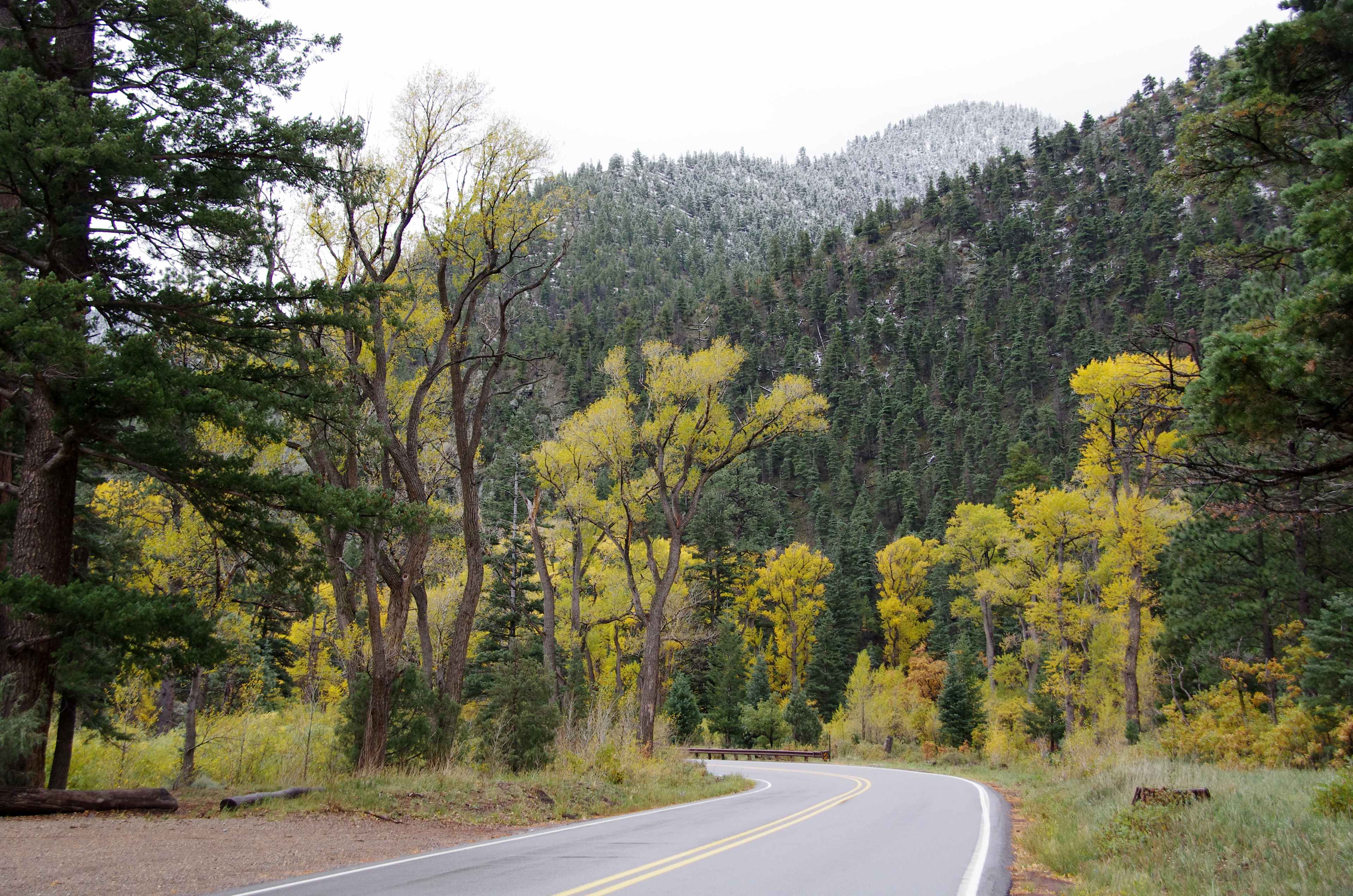 Blackjack Campground