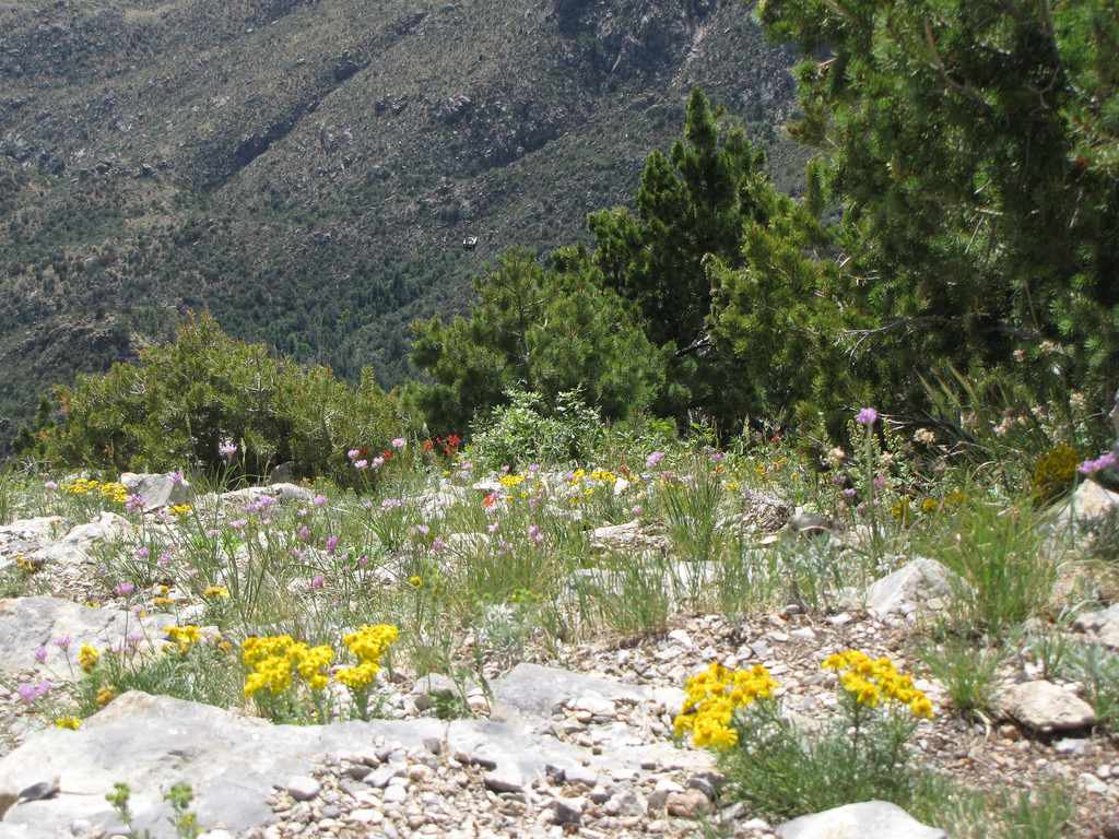 Red Cloud Campground