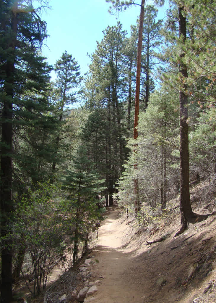 Hyde Memorial State Park Campground