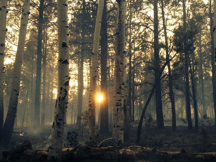 Black Jack Group Campground