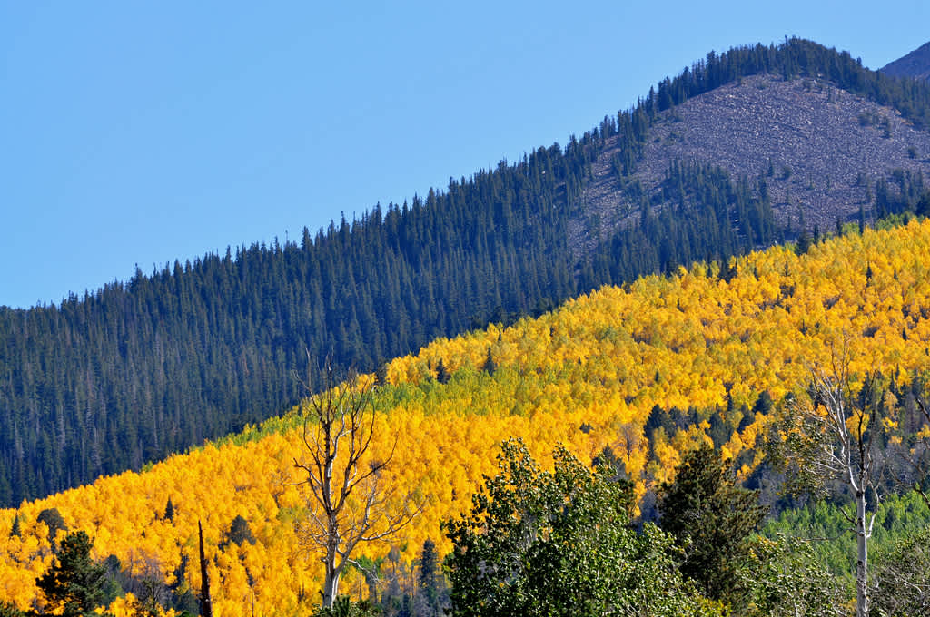 Chavez Crossing Campground