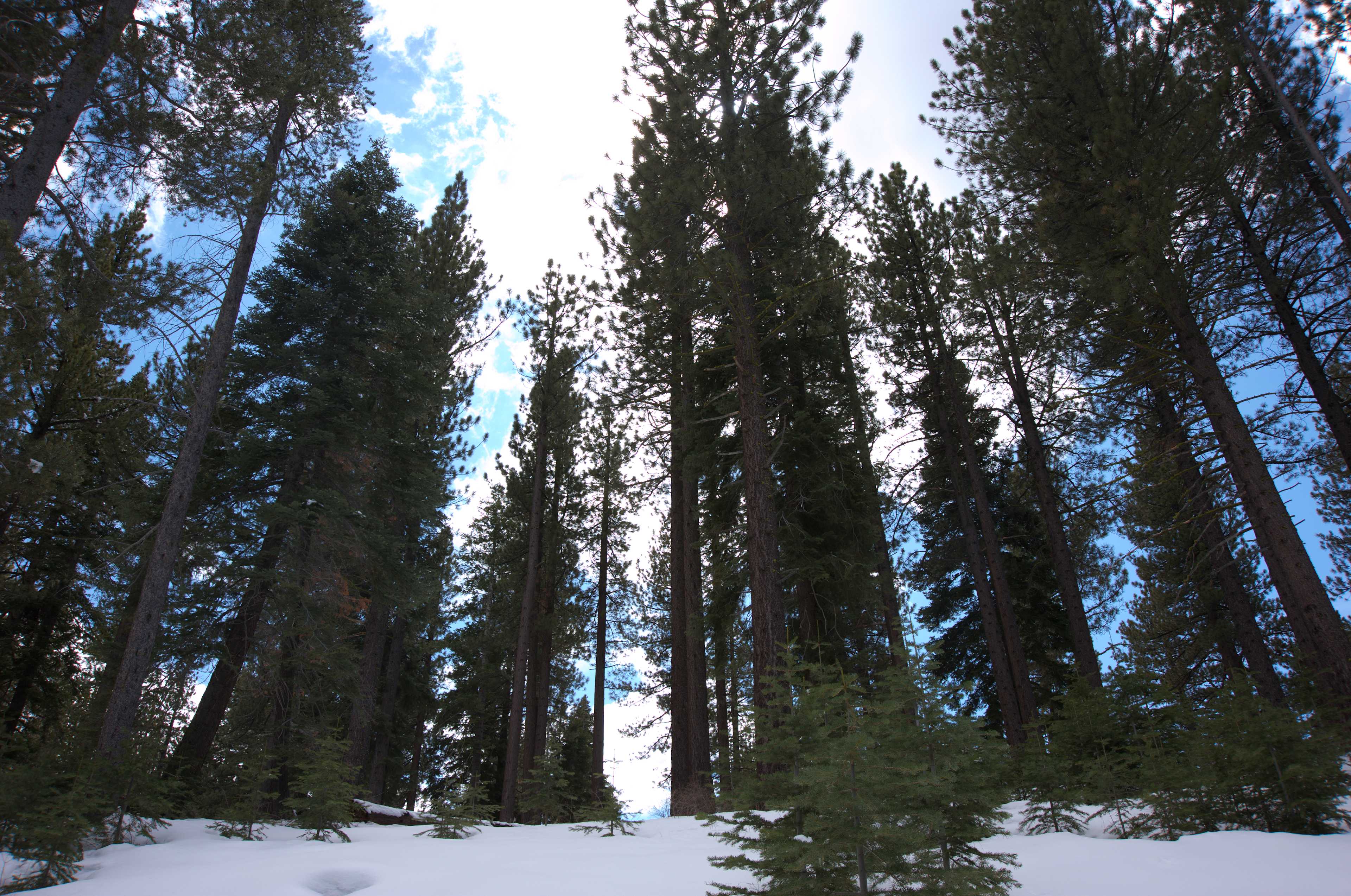 Spooner Lake