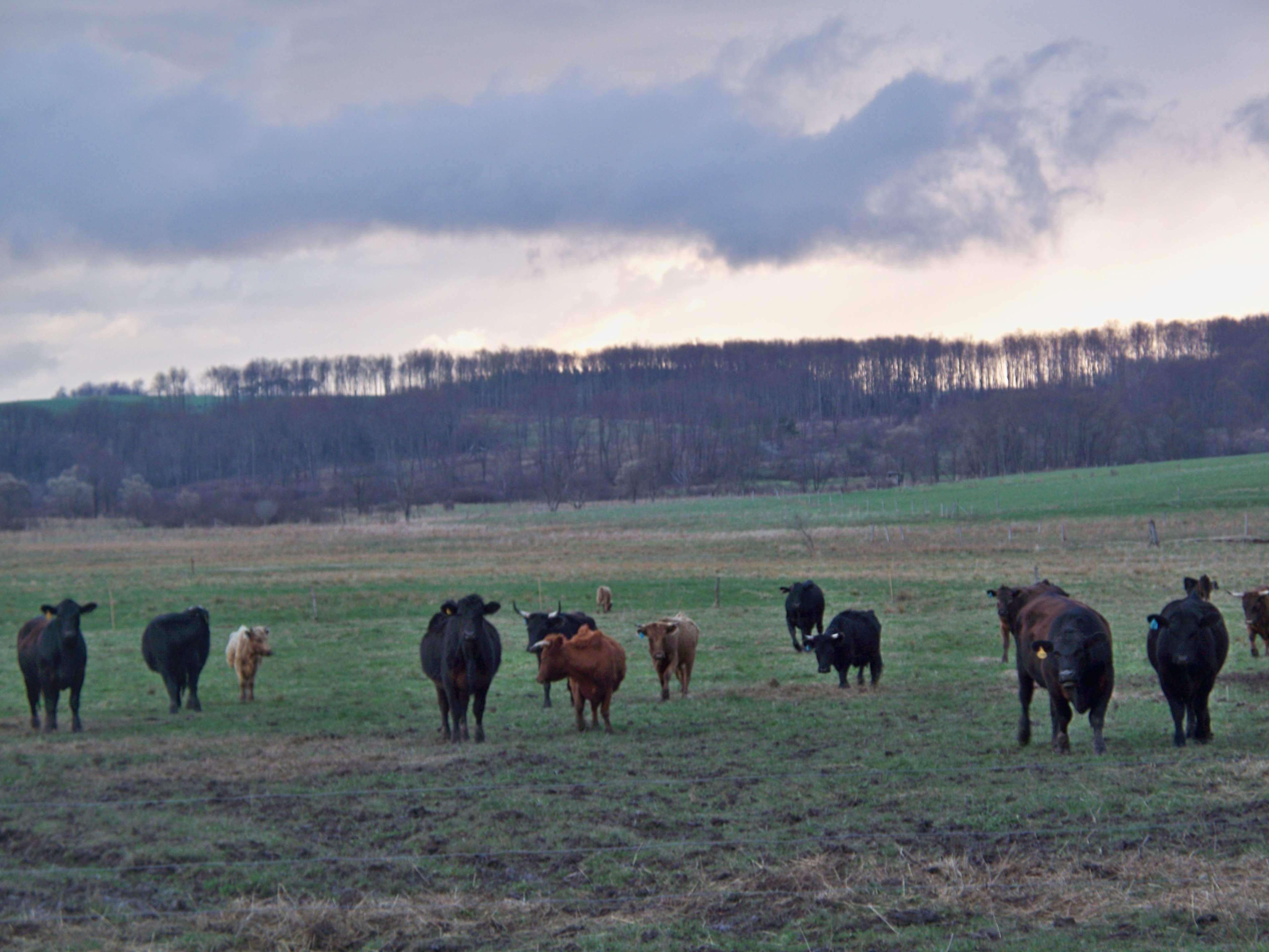 Possum Tail Farm