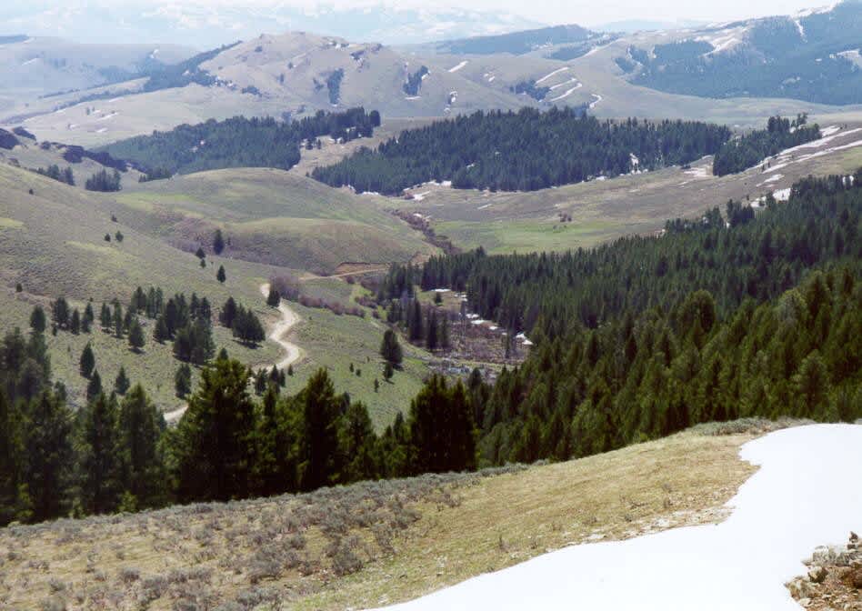 Douglas Creek Cabin