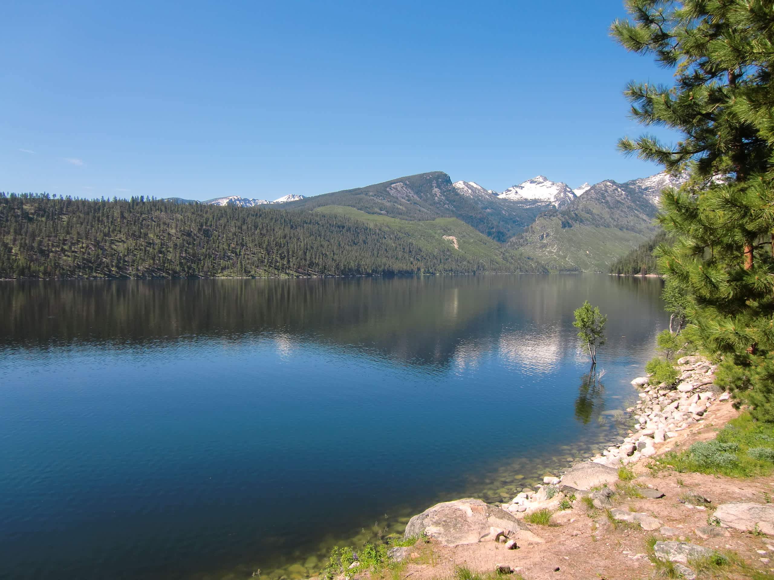 Bitterroot National Forest