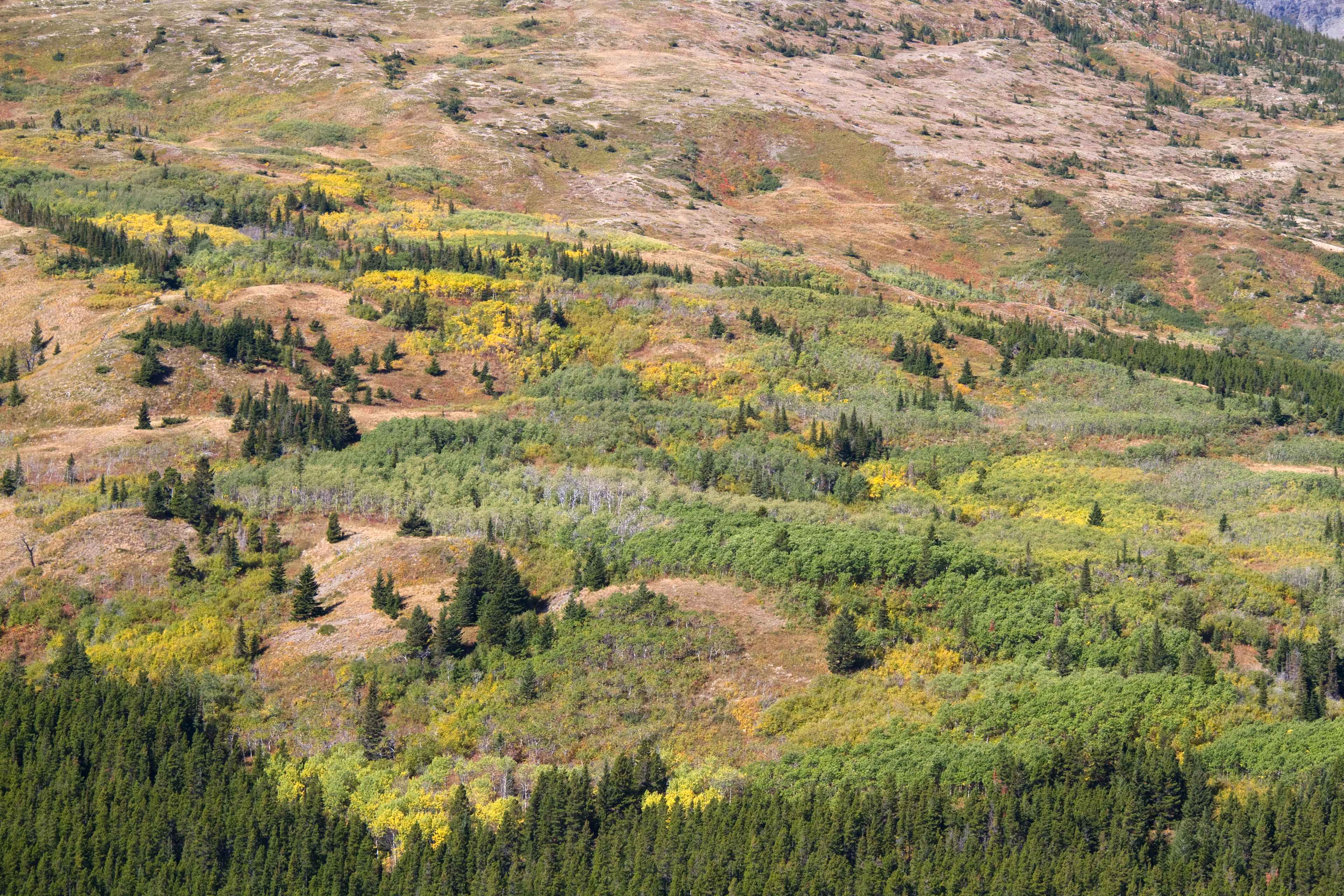 Logging Creek Campground