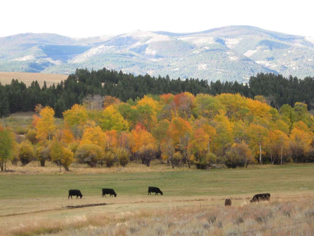 Cromwell Dixon Campground