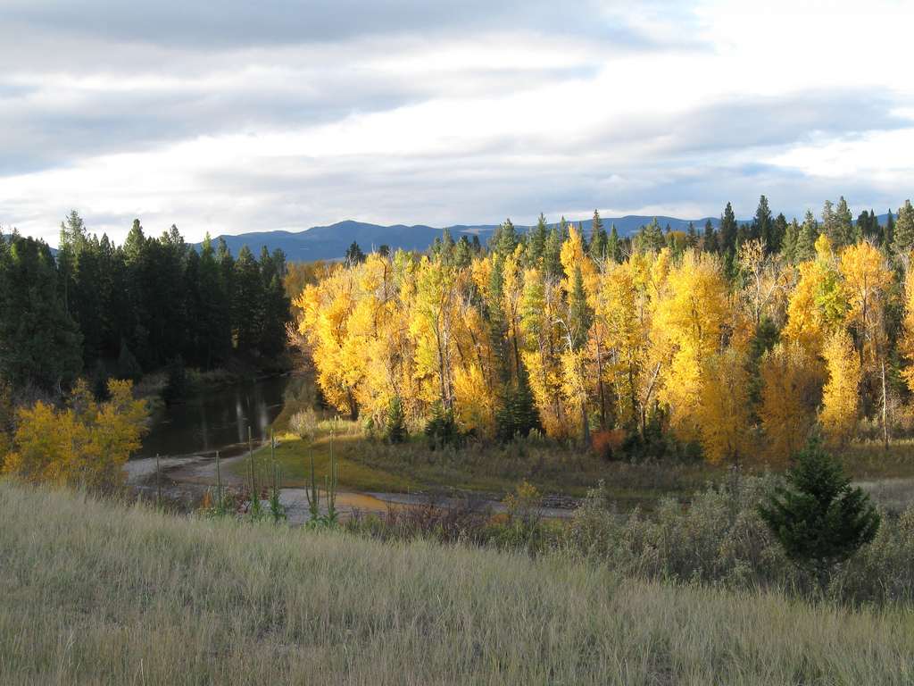 Copper Creek Campground