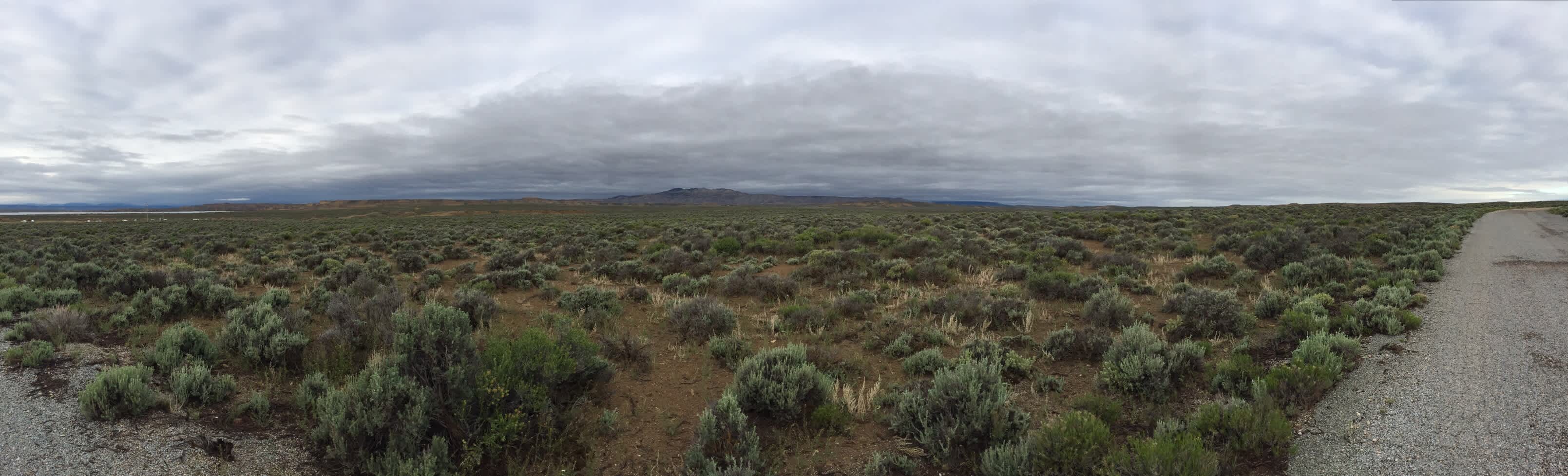 Buckboard South