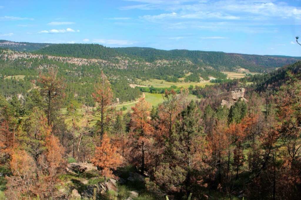 Bismarck Lake Campground