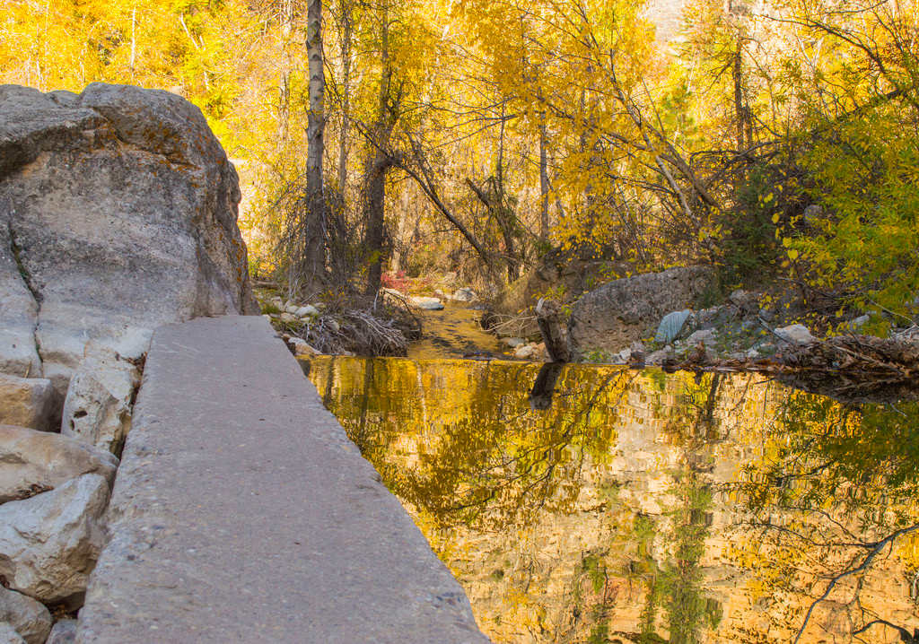 Ditch Creek Campground