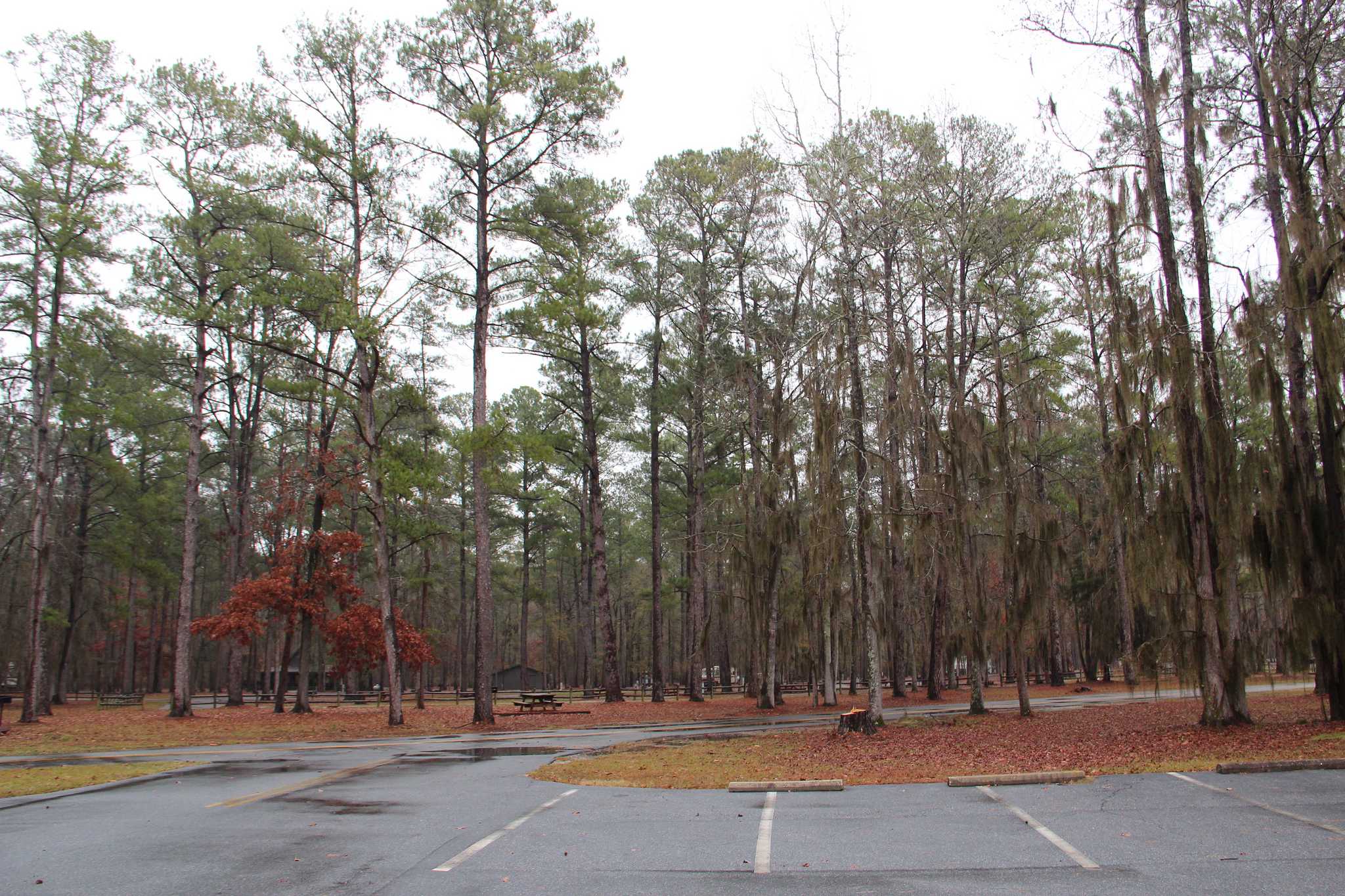 Florence Marina State Park Campground