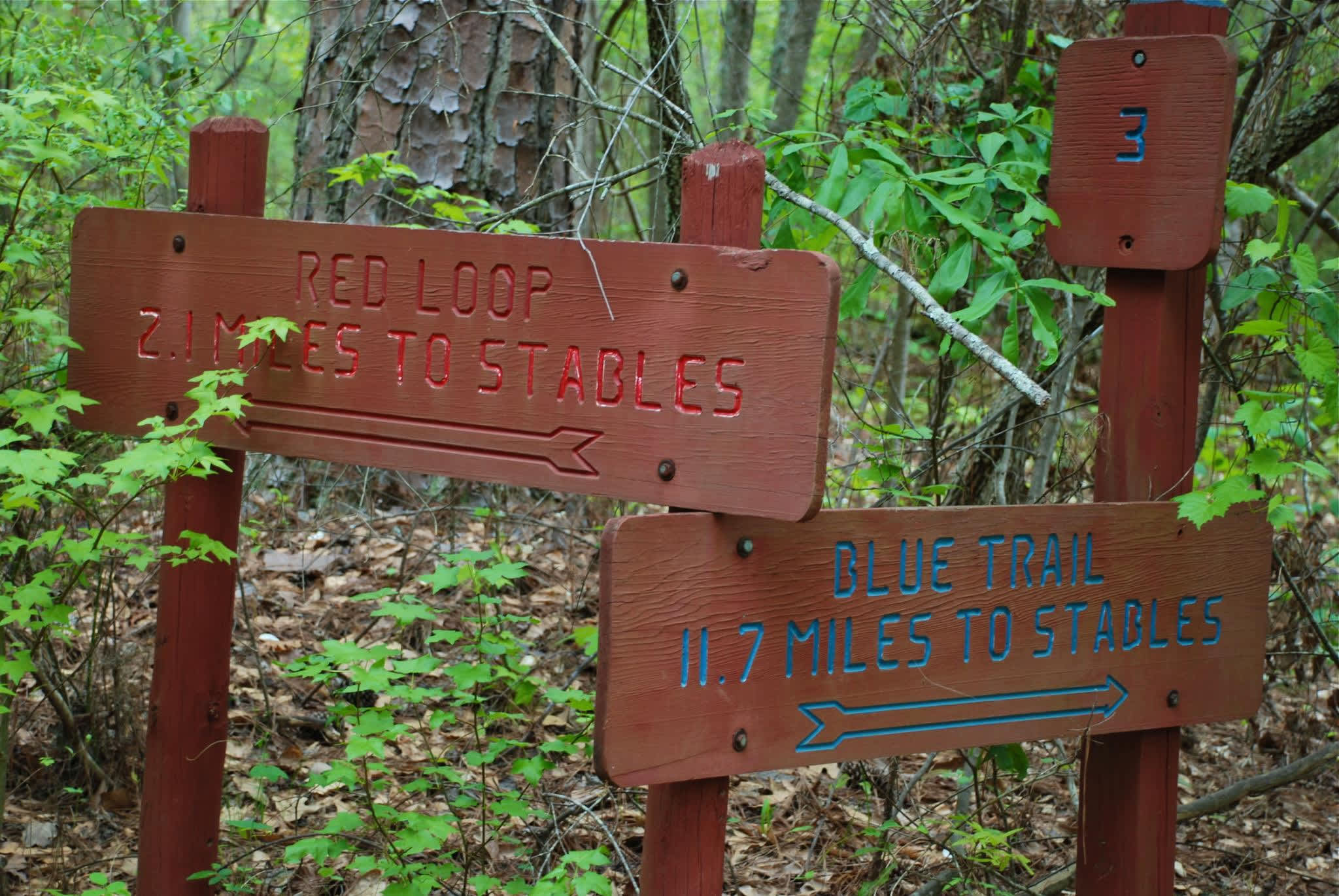 Hard Labor Creek State Park Campground